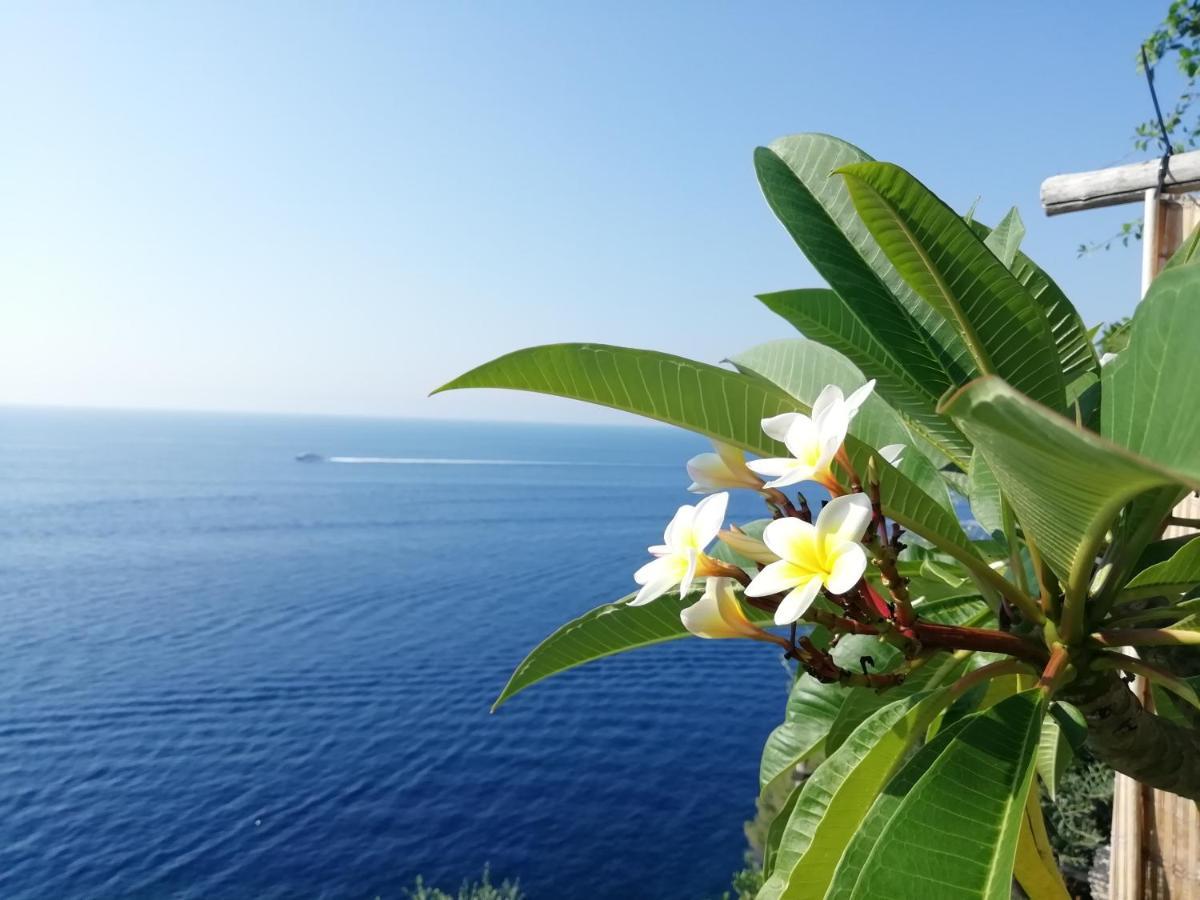 Apartament Sea Side Solandra Praiano Zewnętrze zdjęcie